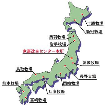 北海道から九州まで家畜改良センター本所以外に全国に12か所牧場があります