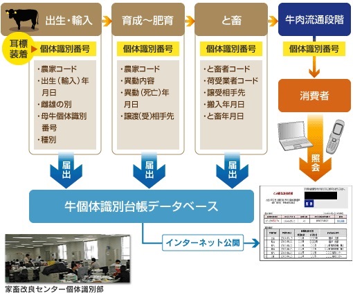 司法的同一性の誕生 市民社会における個体識別と登録 既 刊