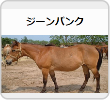 十勝牧場 十勝牧場
