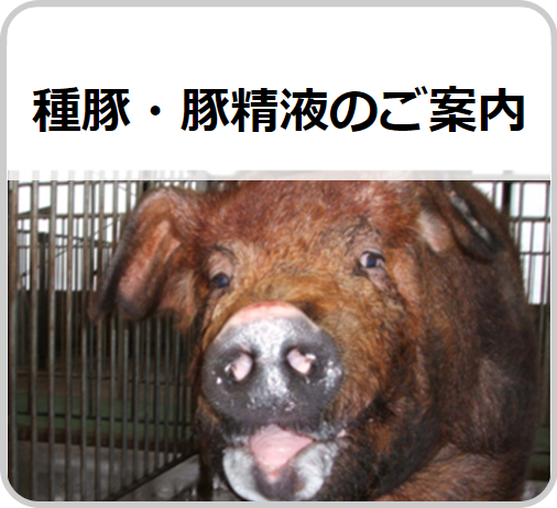 宮崎牧場 宮崎牧場