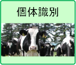 家畜改良センター