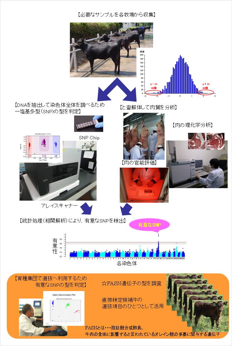 動物工学科 - 福島県ホームページ