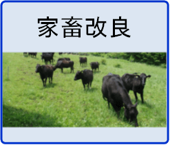 家畜改良センター