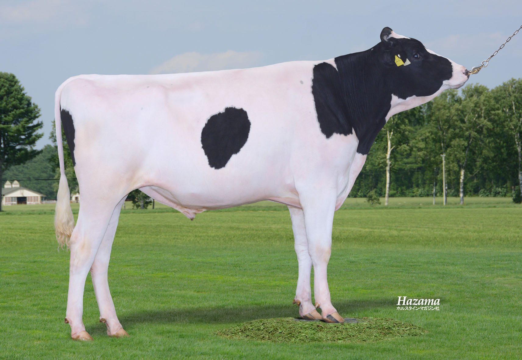 2506iwate JSP zyoiasu.jpg