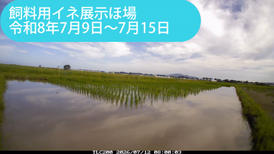 minami260709-0715sum.png