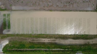 260707-1.jpg