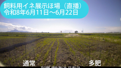 kita260611-022sum.png