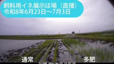 kita260623-0703sam.png