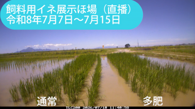 kita260707-0715sum.png