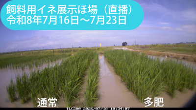 kita260716-0723sum.png