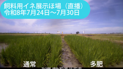 kita260724-0730sum.png