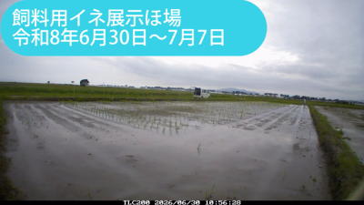 minami260630-0707sum.png