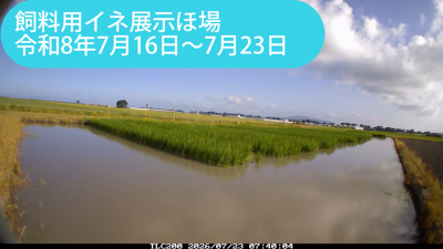 minami260716-0723sum.png