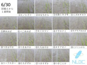sum260630tenjiho.jpeg