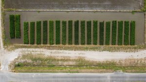 260814-1.jpg
