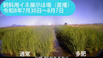 kita260730-0807sum.png