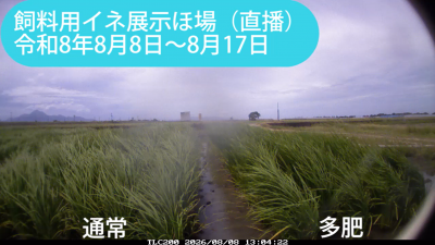kita260808-0817sum.png