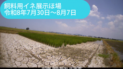 minami260730-0807sum.png