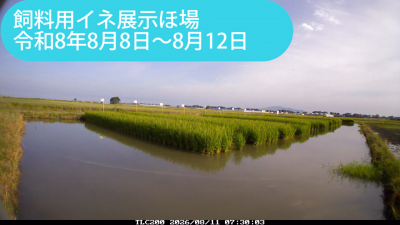 minami260808-0812sum.png