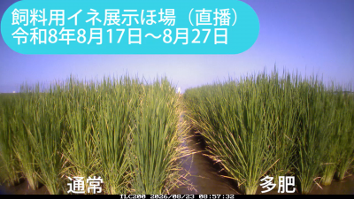 kita260817-0827sum.png