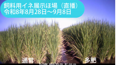 kita260828-0908sum.png