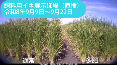 kita260909-0922sum.png