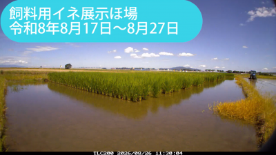 minami260817-0827sum.png
