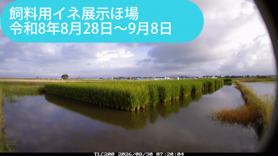 minami260828-0908sum.png