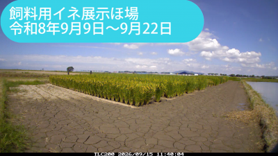 minami260909-0922sum.png