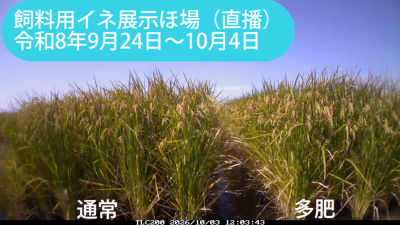 kita260924-1004sum.png