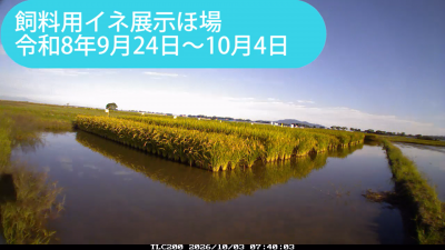 minami260924-1004sum.png