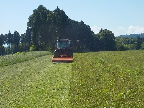 260529_souji_gari.JPG